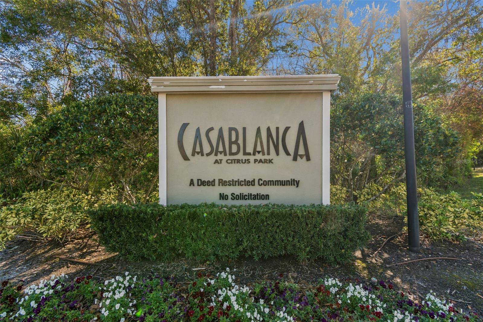 CASA BLANCA - Residential