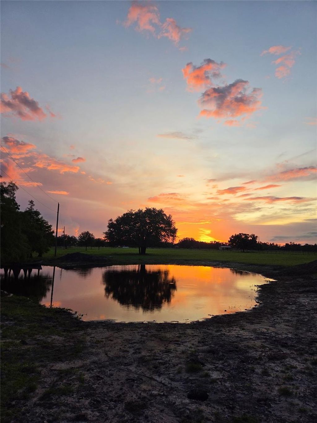 Photo of 1126 County Road 665, Ona, FL 33865 (MLS # A4667224)