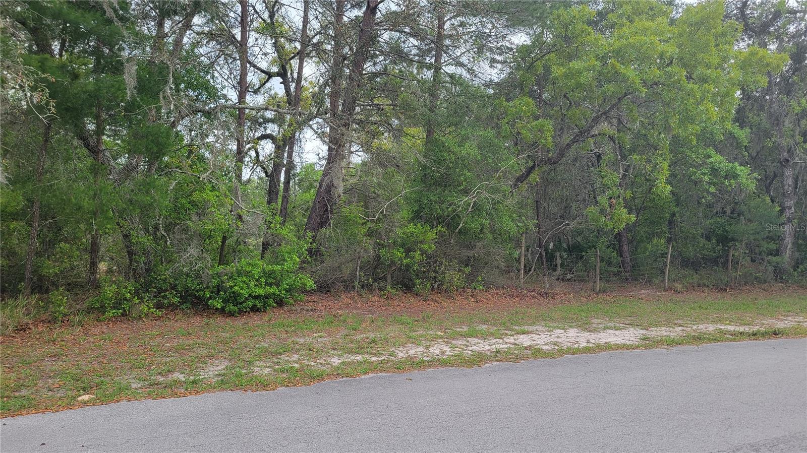 Come build your dream home and estate on this 1.07 acre, lake view lot, in the beautiful, Golden Acres subdivision in New Port Richey Florida. Golden Acres is a community of 1+ acre lots & homes, which affords you, more than enough room to build your dream estate home and enjoy a life style in harmony with nature. The best part of this lot is that you will not only enjoy the peacefulness that this location offers, you will also be within a short drive to the worlds most beautiful Pinellas County Florida beaches and the world acclaimed Tampa International Airport. HURRY because this oppurtunetly will be gone before you you know it. SELLER FINANCING IS AVAILABLE