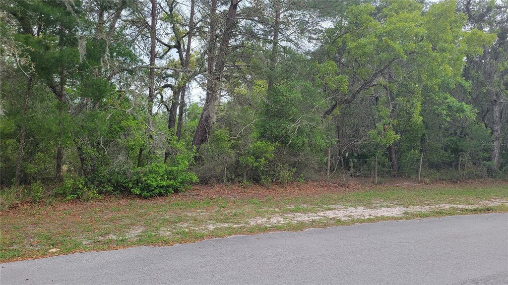 Photo of Rabbit Drive, New Port Richey, FL 34654 (MLS # U8233563)