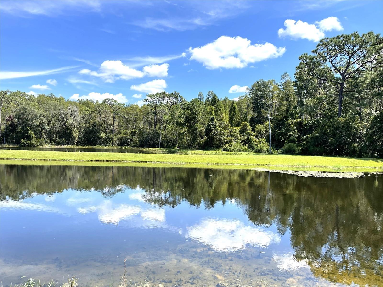 LAKESHORE RANCH PH I - Residential Lease