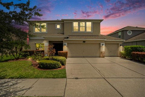 Photo of 10737 Breaking Rocks Drive, Tampa, FL 33647 (MLS # TB8429733)