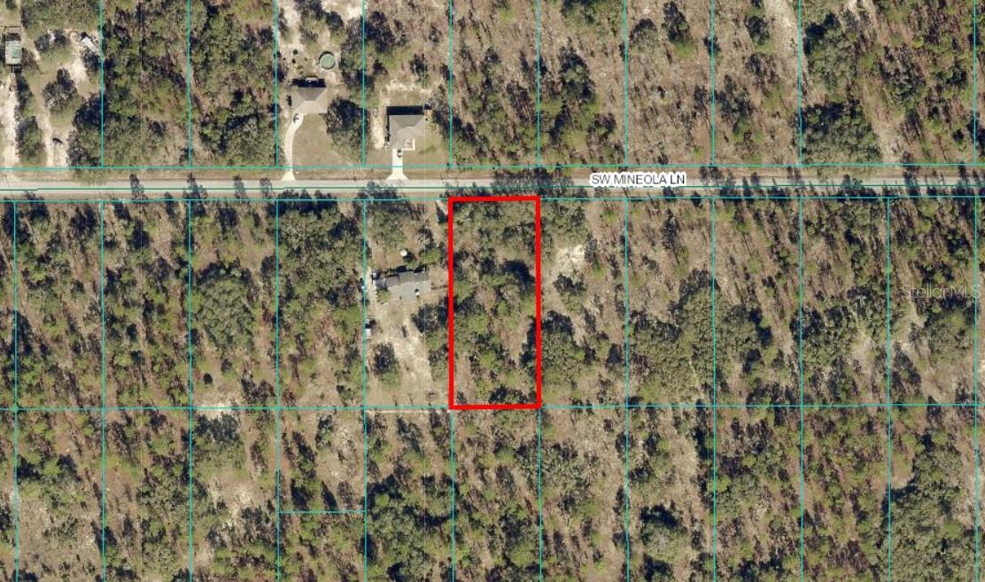 Great rectangular Lot in Rainbow Lakes Estates. This lot is nicely treed, .99 of an acre and NOT in a flood zone. Zoned R1 - Site-built homes only. Minutes to beautiful Rainbow Springs State Park and the Rainbow River. A quick commute to downtown Dunnellon for shopping, banking, and restaurants and only about 30 minutes to the World Equestrian Center in Ocala. Lots of new construction going on in this area. The community has its own library, community center, playground, basketball courts, tennis courts, 2 boat ramps, and fishing pier, NO HOA.