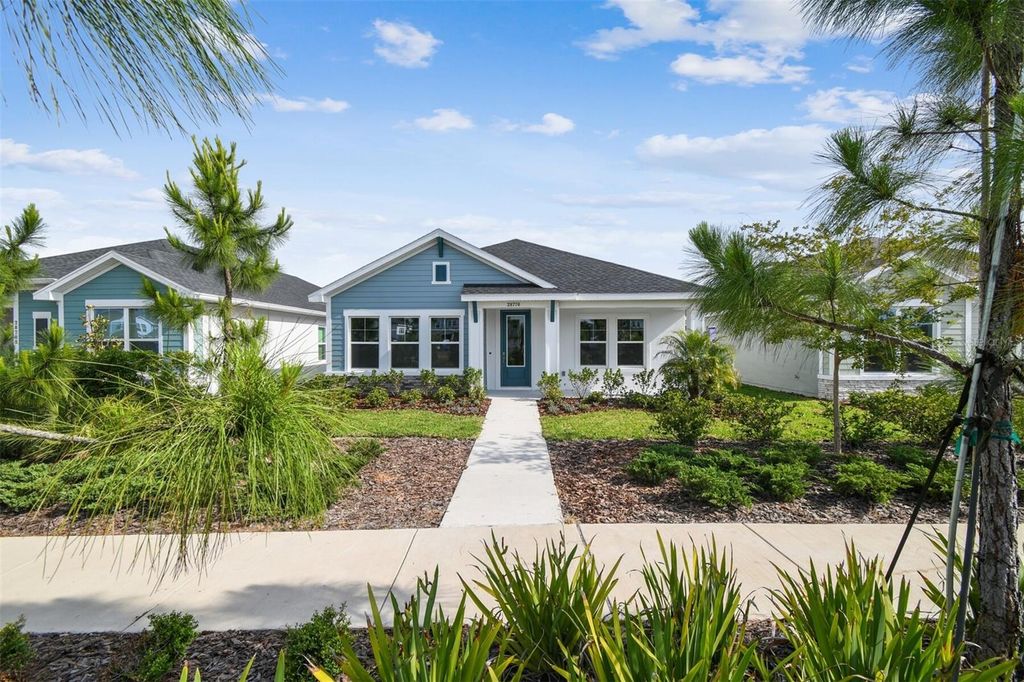 Photo of 28776 Rambutan Drive, Wesley Chapel, FL 33543 (MLS # TB8374832)