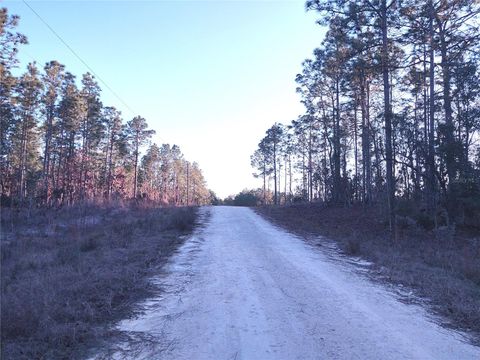 Tiny photo for Tbd SW 127th Avenue Road, Ocala, FL 34481 (MLS # OM725129)