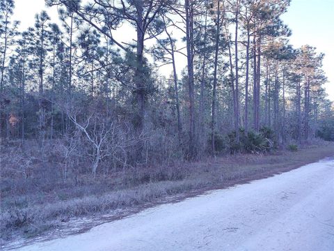 Tiny photo for Tbd SW 127th Avenue Road, Ocala, FL 34481 (MLS # OM725129)