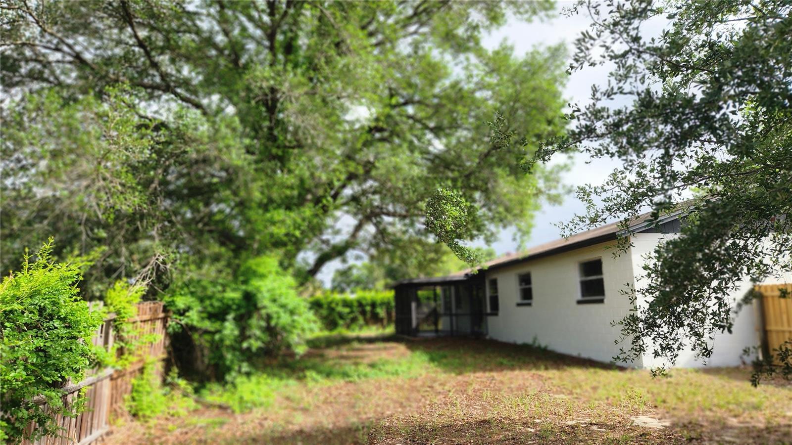 FOX BRIAR - Residential