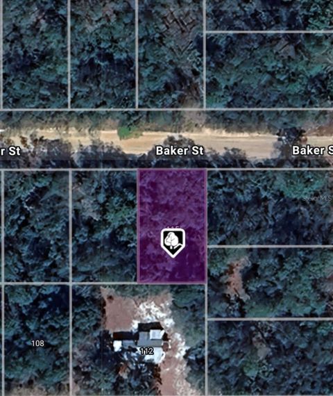 LOT 8 BAKER STREET INTERLACHEN FL 32148