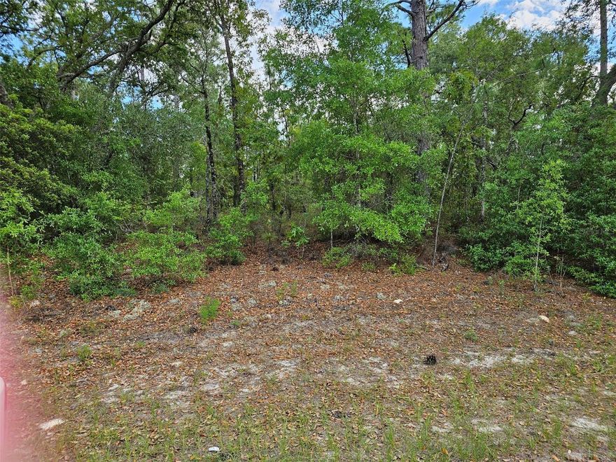 Several new homes in the area, make this nicely wooded lot your homesite.