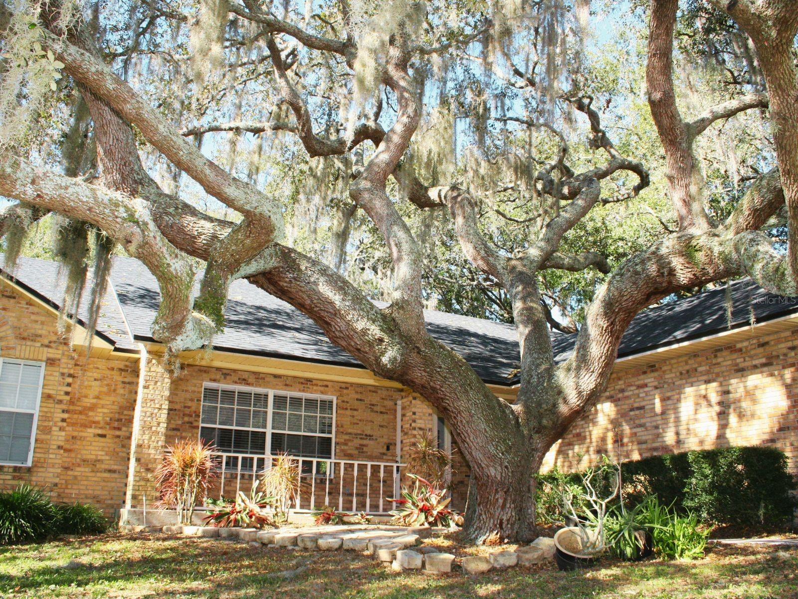 KAYWOOD REP - Residential