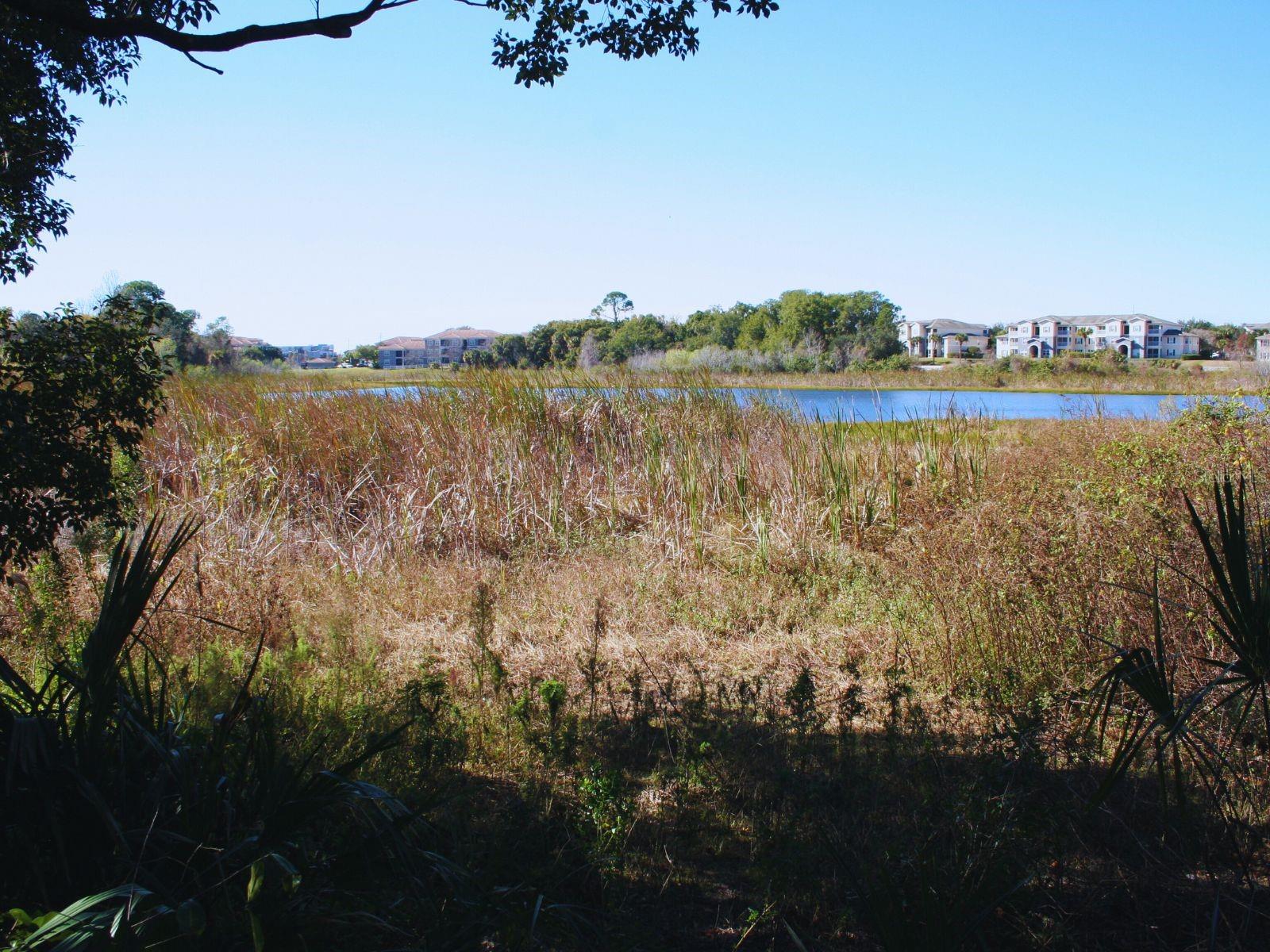 KAYWOOD REP - Residential