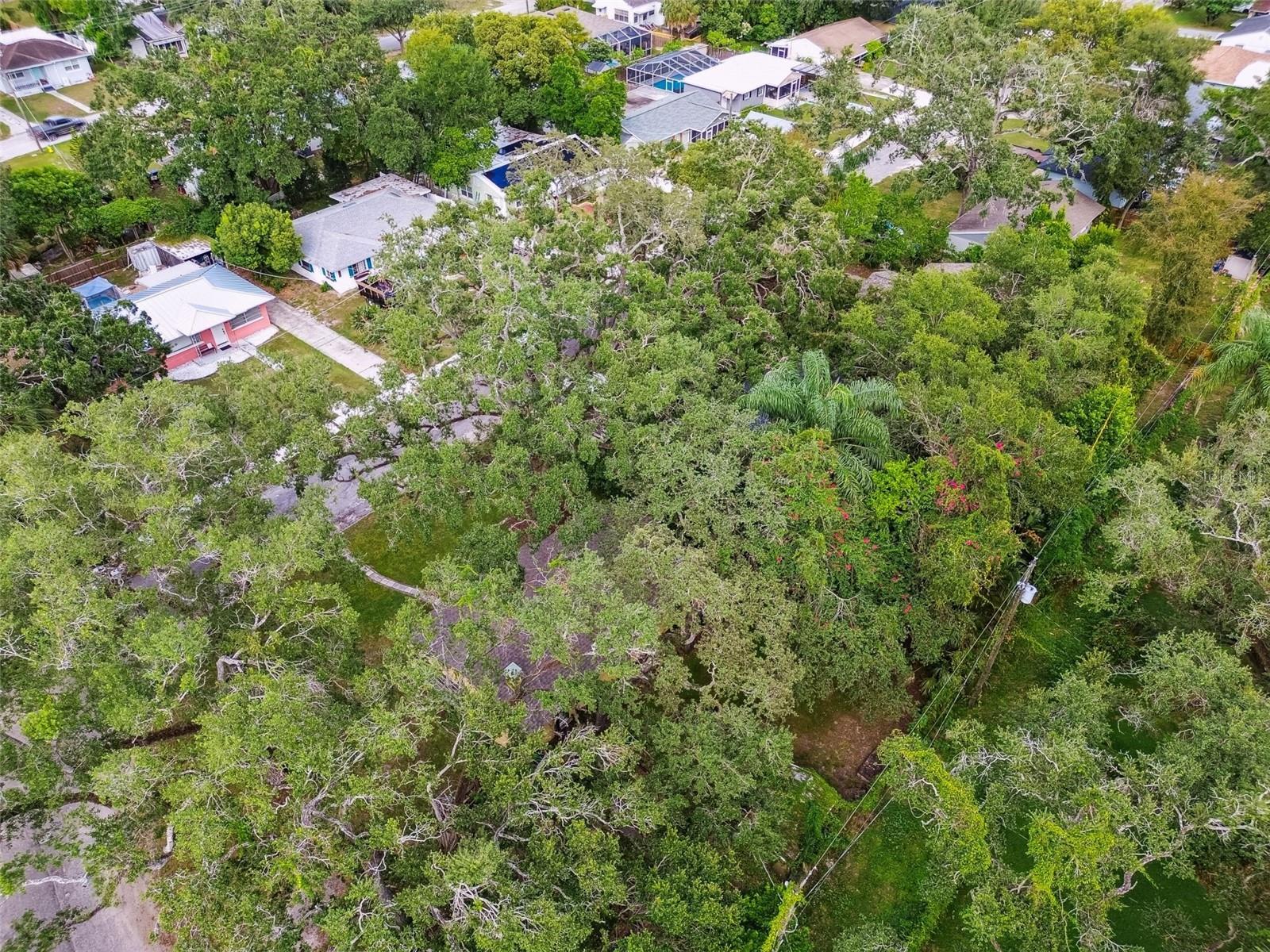 PALM SUB REV MAP - Residential Lease