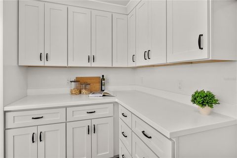 Tiny photo for 650 E Liberty Avenue, Mount Dora, FL 32757 (MLS # G5094719)