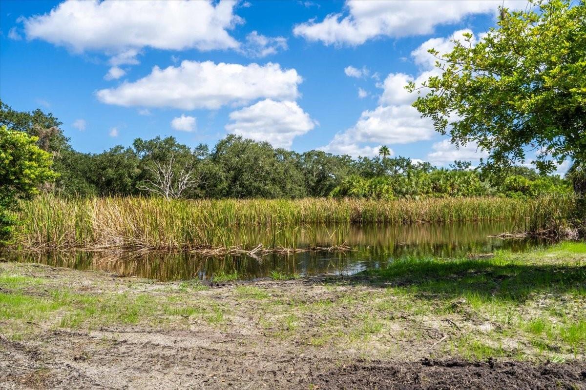 TILLETT BAYOU PRESERVE PH I - Land
