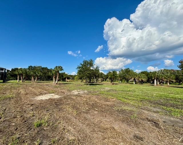 TILLETT BAYOU PRESERVE PH I - Land