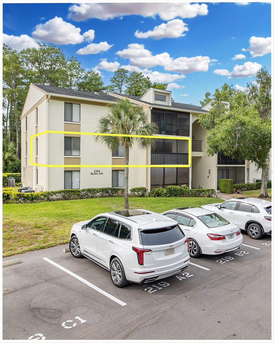 PINE RIDGE AT LAKE TARPON VILLAGE - Residential