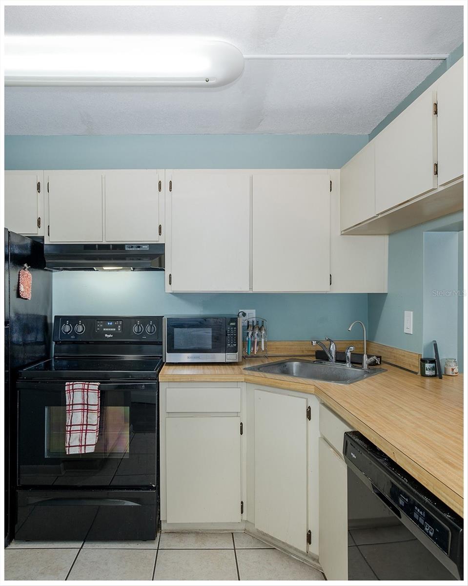 PINE RIDGE AT LAKE TARPON VILLAGE - Residential