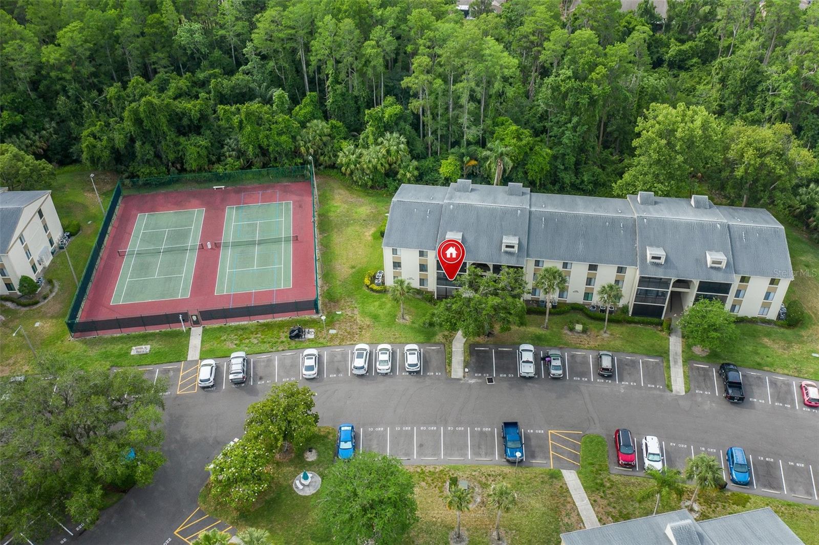 PINE RIDGE AT LAKE TARPON VILLAGE - Residential