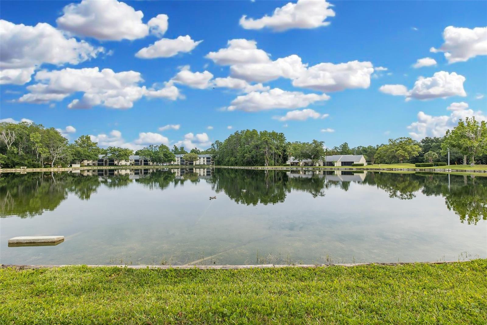 PINE RIDGE AT LAKE TARPON VILLAGE - Residential