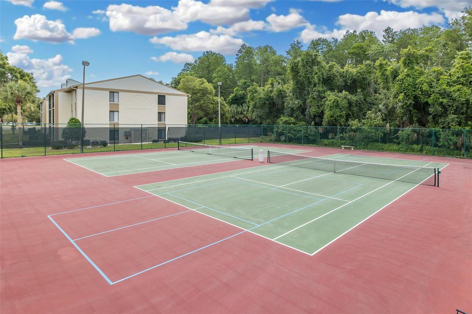 PINE RIDGE AT LAKE TARPON VILLAGE - Residential