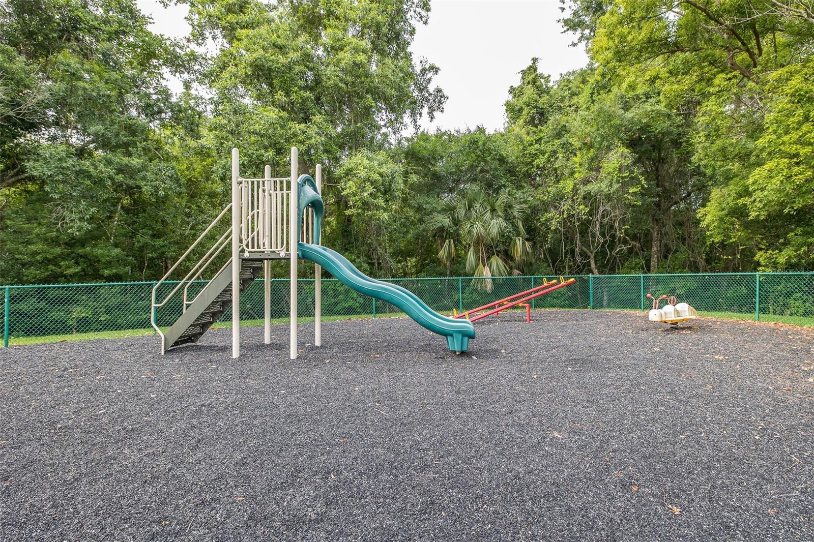 PINE RIDGE AT LAKE TARPON VILLAGE - Residential
