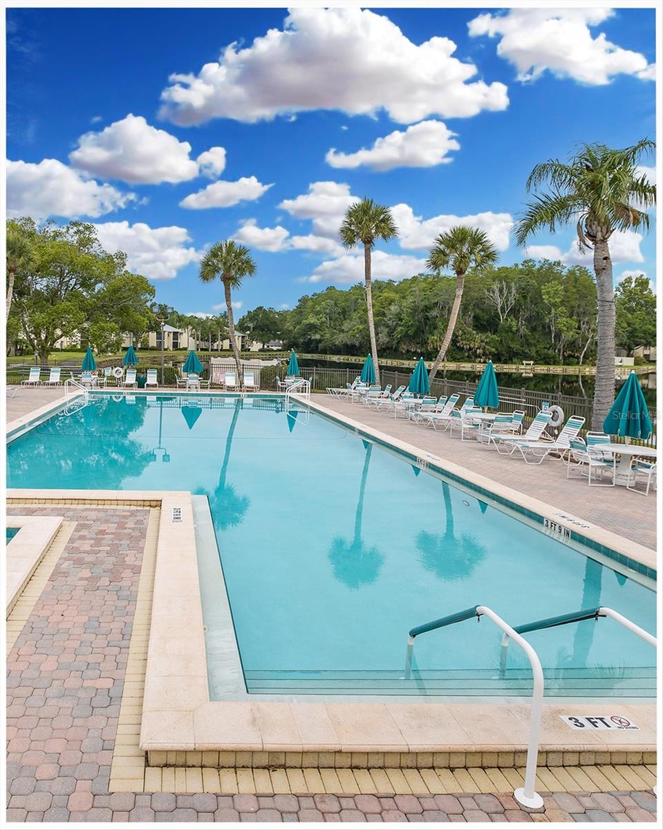 PINE RIDGE AT LAKE TARPON VILLAGE - Residential