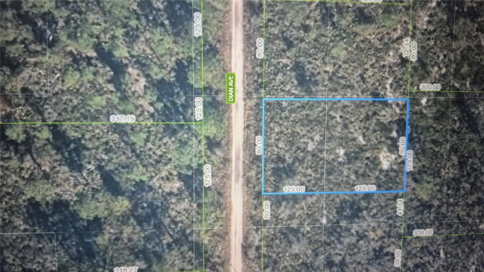 Don’t miss this fantastic opportunity to own 0.23 acres of residential land in a quiet, growing neighborhood of Sebring, FL. With no HOA and utilities nearby, this lot offers the perfect blend of peaceful living with convenient access to shopping, recreation, and more.
Whether you're ready to build your dream home, create a vacation getaway, or simply hold the land to build equity and resell later for profit.
Prime Location Highlights: Minutes to Lakeshore Mall – shopping, dining, movies; Short drive to Sebring International Raceway – home of the 12-Hour Sebring race. Easy access to Lake Jackson, public boat ramps, and outdoor recreation. And much more. LOTS ARE GOING UP IN VALUE. BUY WHILE ITS STILL AFFORDABLE.