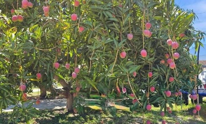 RIDGEWOOD ESTATES 20TH ADD - Residential