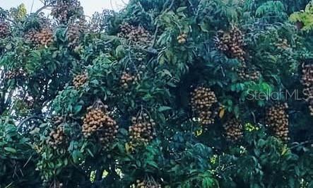 RIDGEWOOD ESTATES 20TH ADD - Residential