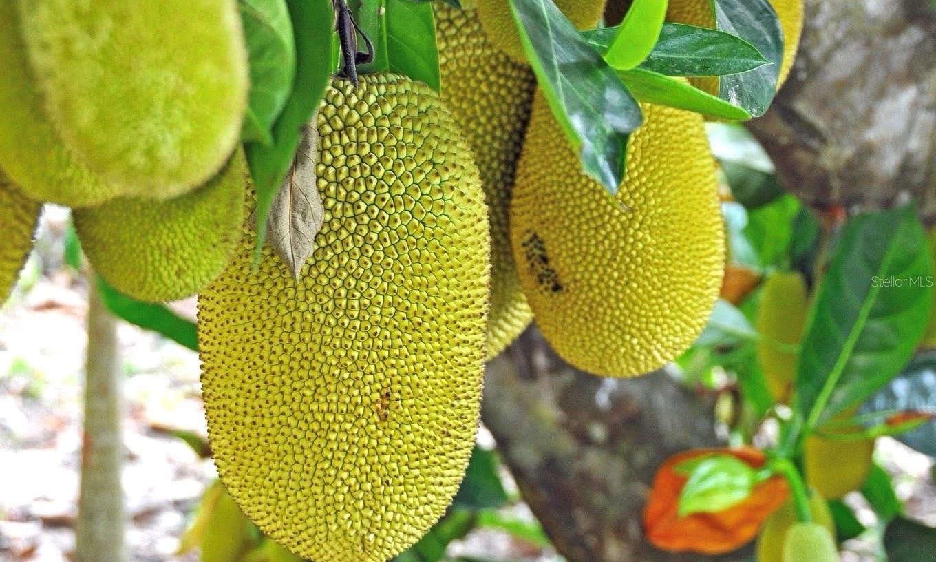 RIDGEWOOD ESTATES 20TH ADD - Residential