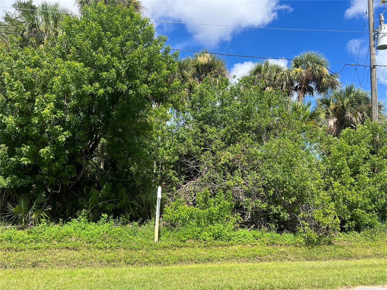 Beautiful building lot in the up-and-coming area of Rotonda Heights! Amazing location with pristine Englewood Beach just 10 minutes away, numerous golf courses, as well as public boat ramps all within minutes! PUBLIC WATER & SEWER service this lot, along with an electrical pole, and it is NOT IN a scrub jay area. Rotonda Heights is a deed restricted community with a low annual HOA fee of only $110; less than $10 a month! With 1900 homesites, Rotonda Heights only has just over 400 of them developed with homes...come be part of this exciting & growing community in Southwest Florida! Have local builder with floorplans of 3 bedroom 2 bathroom homes with 10’ ceilings, 8’ doors porcelain plank flooring throughout, Quartz/Granite, lighting & fans, appliances…all-inclusive pricing starting at $320,000.