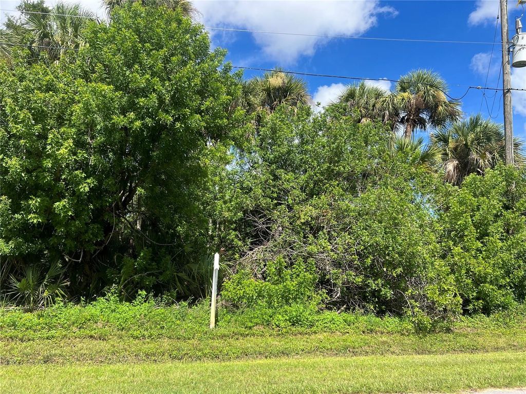 Photo of 114 Byron Ct, Rotonda West, FL 33947 (MLS # C7513134)