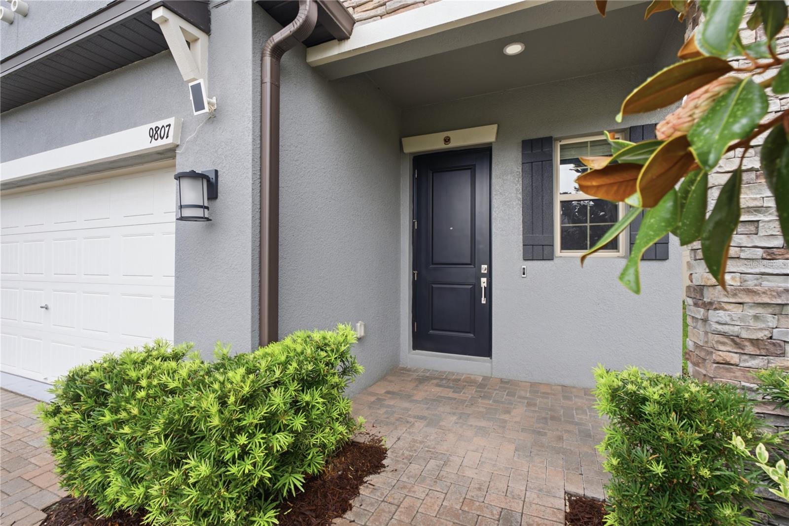 9807 WILD BEGONIA LOOP