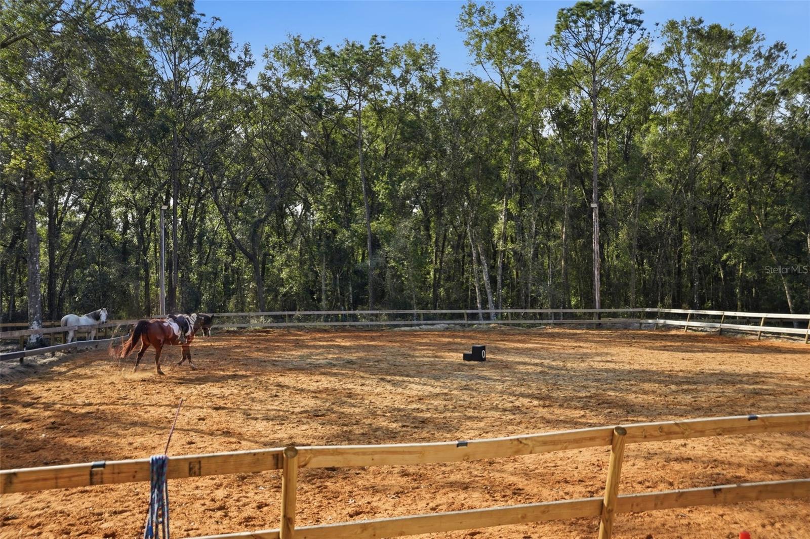 ACREAGE - Residential