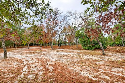 Tiny photo for 10370 SW 110th Street, Dunnellon, FL 34432 (MLS # OM716631)