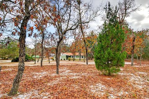 Tiny photo for 10370 SW 110th Street, Dunnellon, FL 34432 (MLS # OM716631)