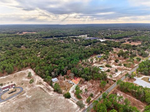 Tiny photo for 10370 SW 110th Street, Dunnellon, FL 34432 (MLS # OM716631)