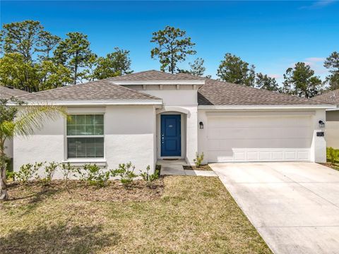 Photo of 1312 Peach Creek Drive, Osteen, FL 32764 (MLS # O6395974)