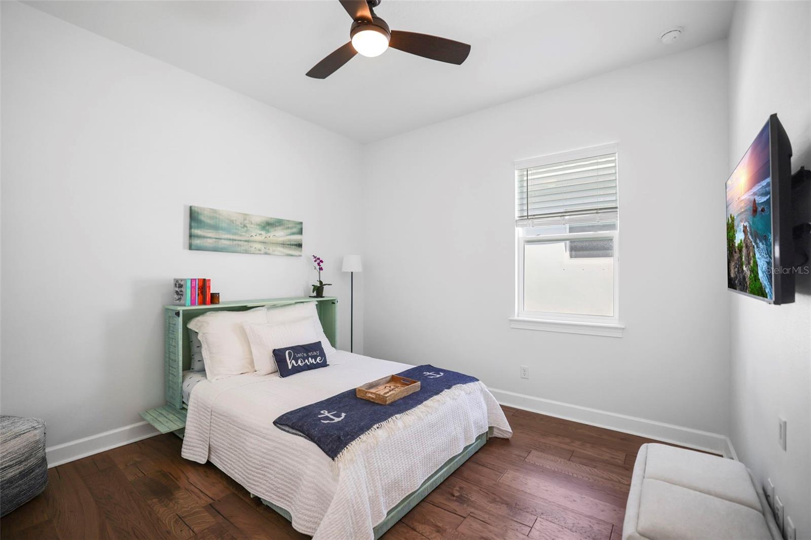 DUNEDIN COVE - Residential