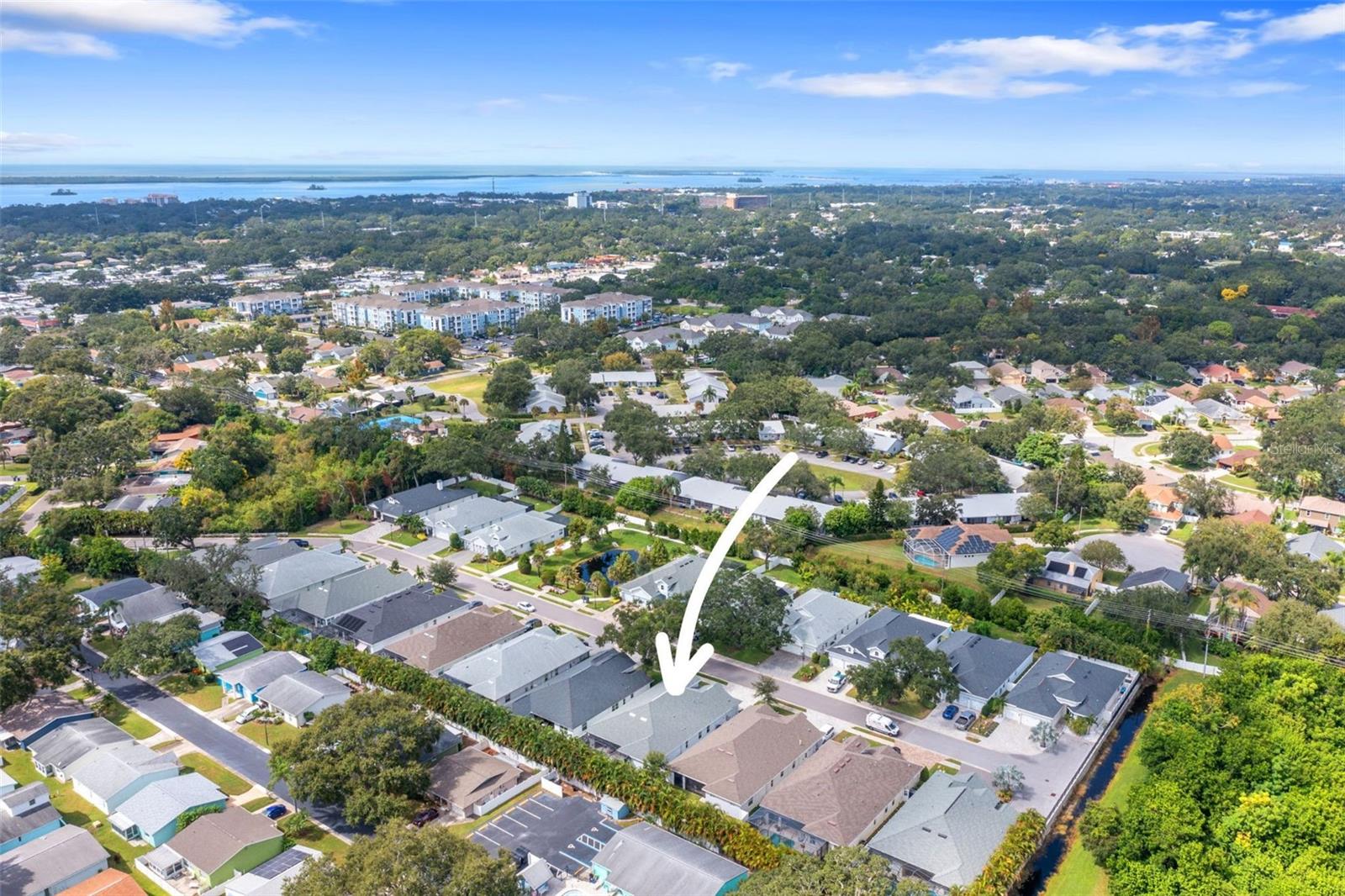 DUNEDIN COVE - Residential