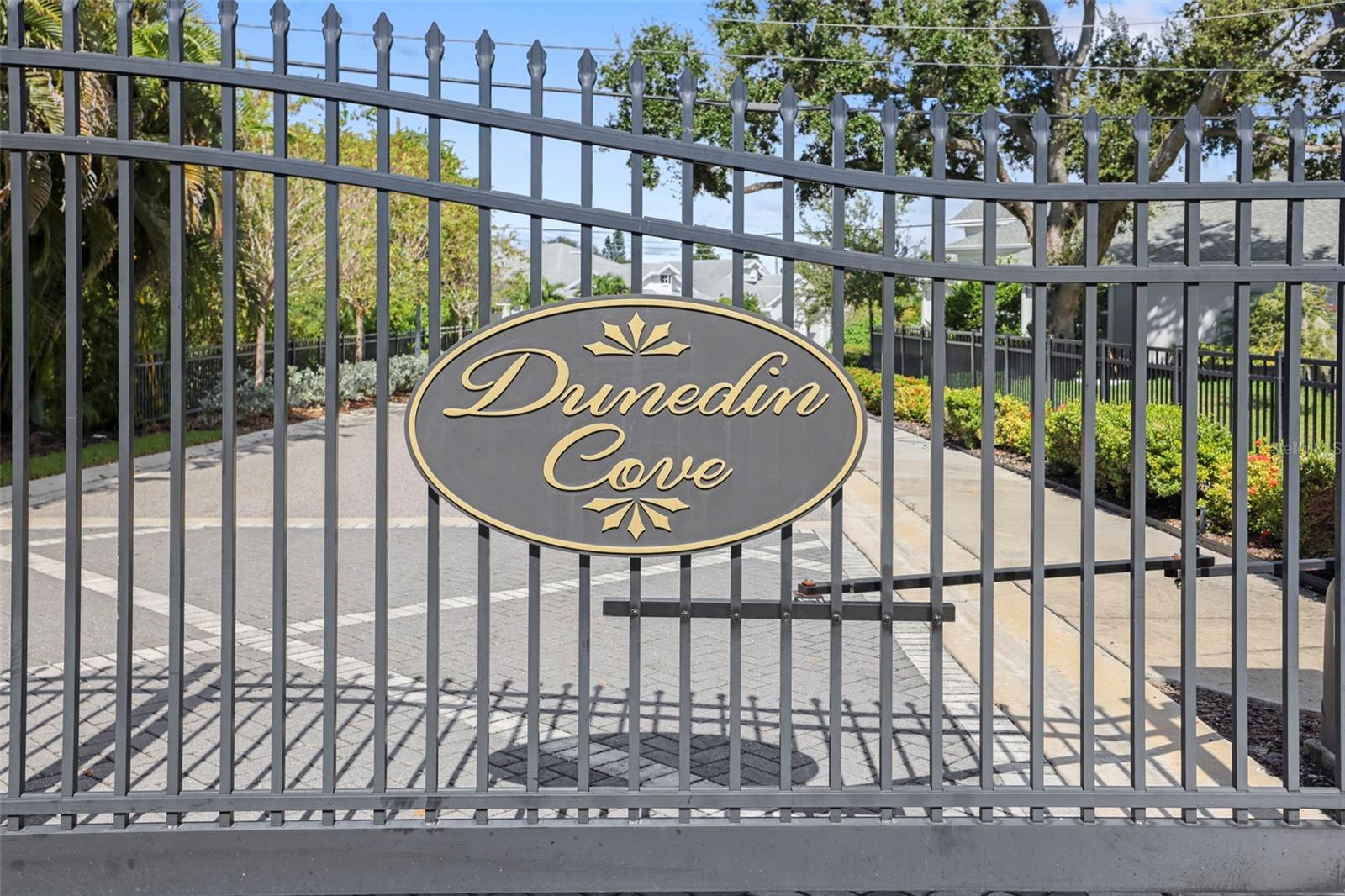 DUNEDIN COVE - Residential