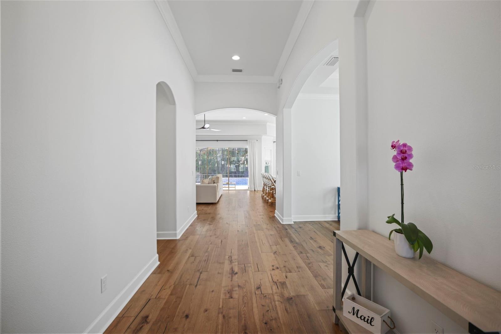 DUNEDIN COVE - Residential