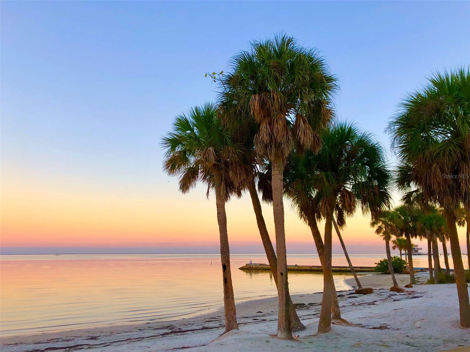 CASTILLE URBANA CONDO - Residential