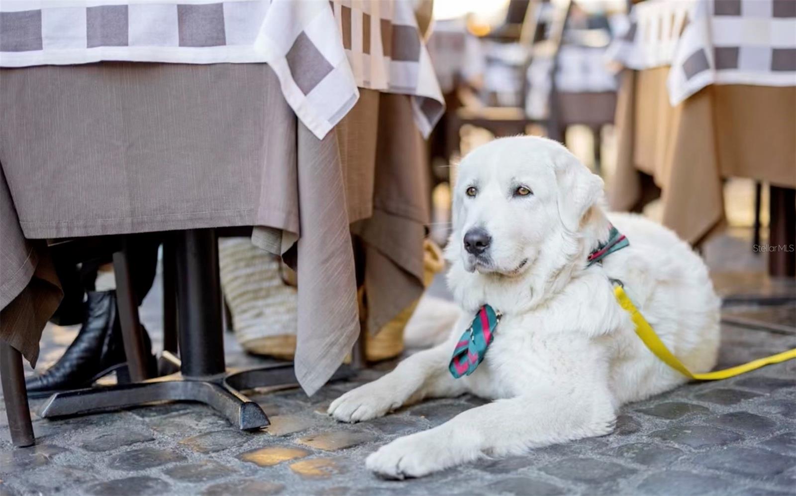 CASTILLE URBANA CONDO - Residential