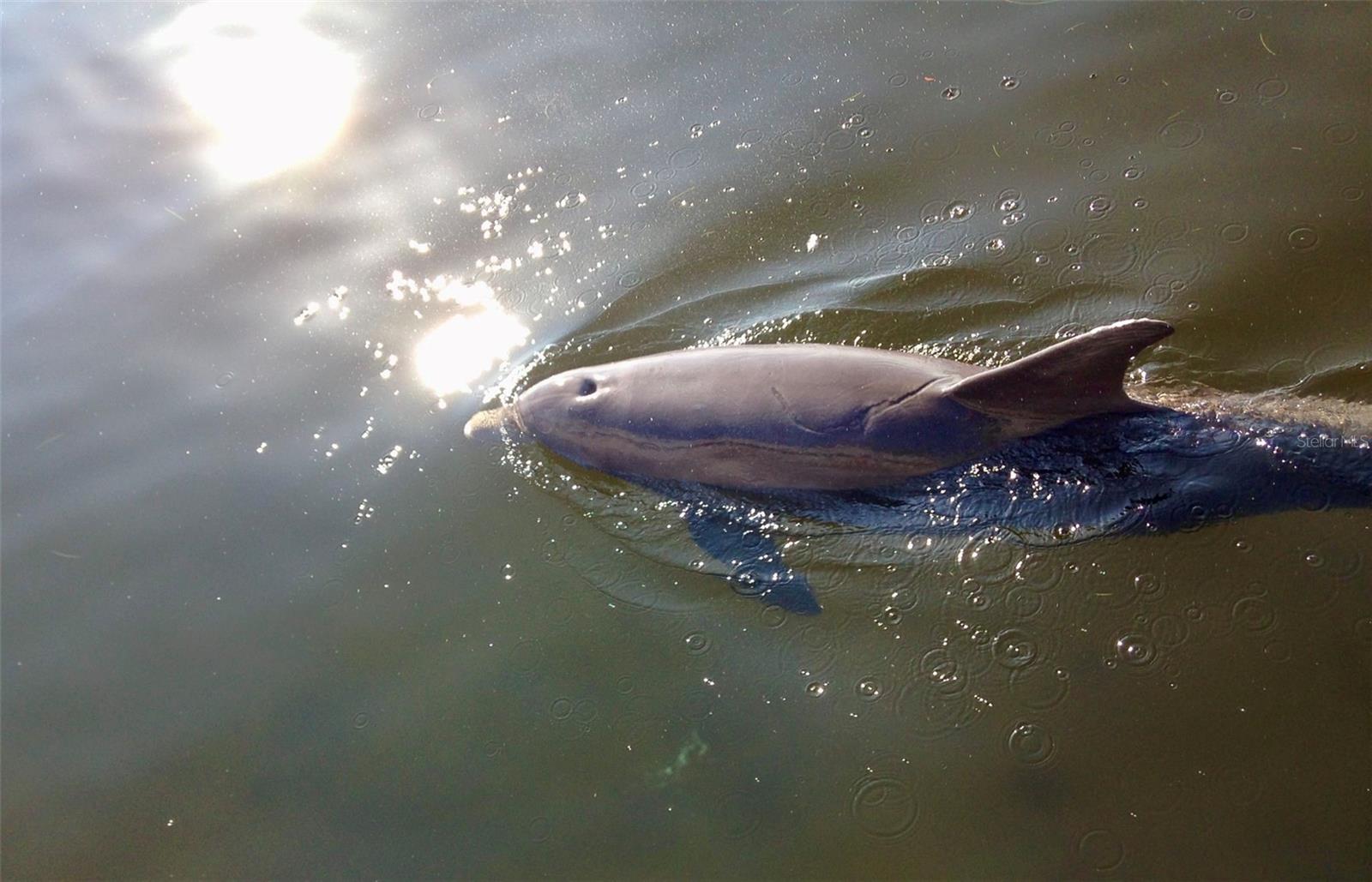 CASTILLE URBANA CONDO - Residential