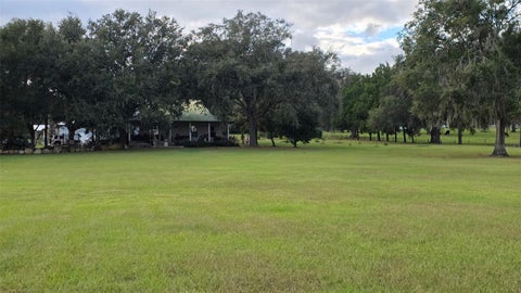 Photo of 31915 Trilby Road, Dade City, FL 33523 (MLS # O6452598)