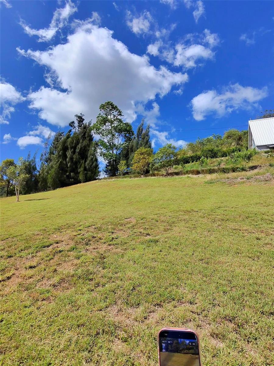PROPIEDAD CARR. 717, BO. ALGARROBO - Residential