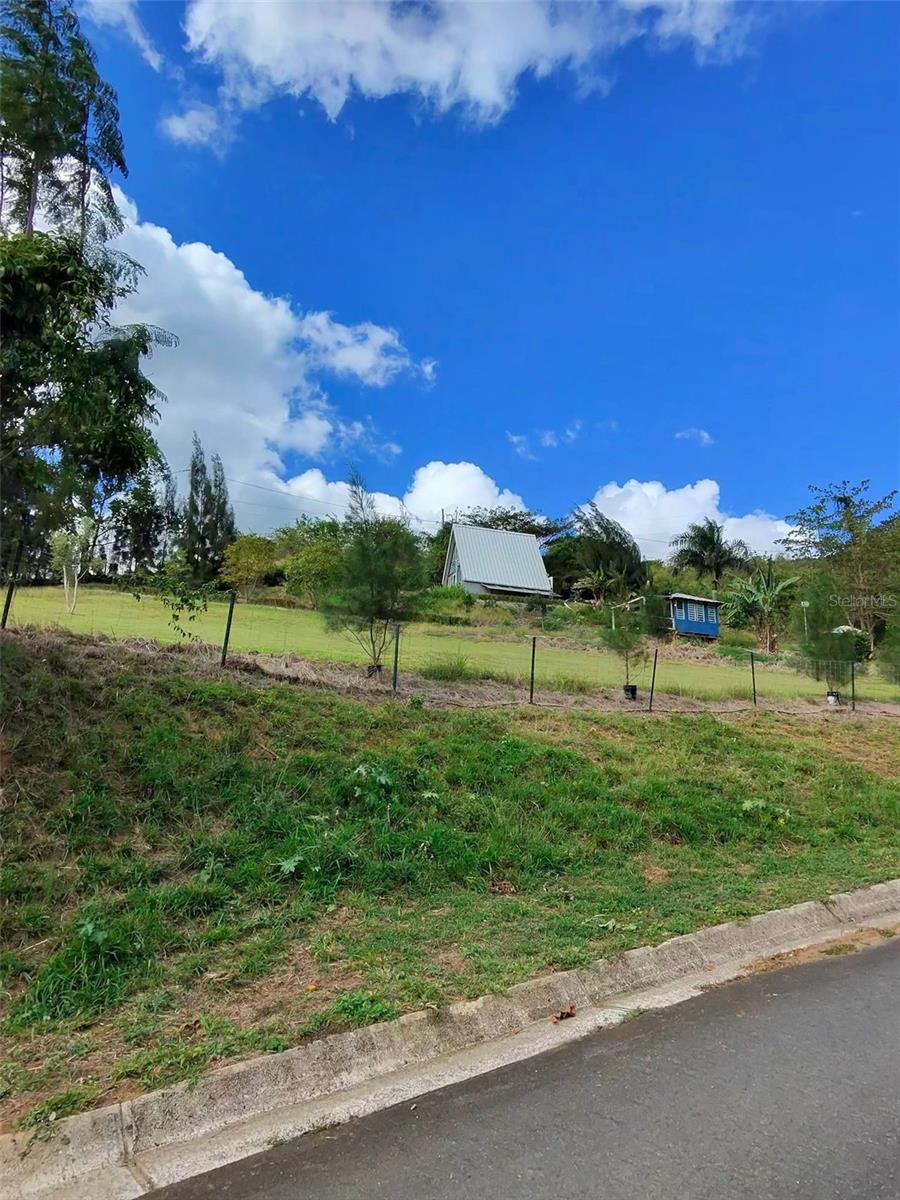 PROPIEDAD CARR. 717, BO. ALGARROBO - Residential
