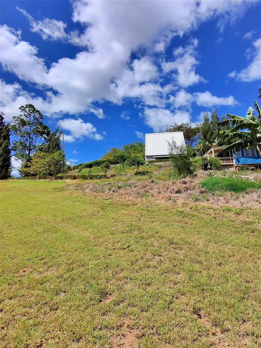 PROPIEDAD CARR. 717, BO. ALGARROBO - Residential