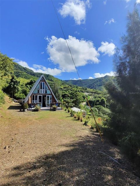 717 CARR. 717, 4.2 INT, LOT 5 AIBONITO  00705